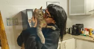 avatar petsitter