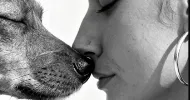 avatar petsitter