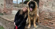 avatar petsitter