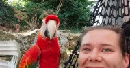 avatar petsitter
