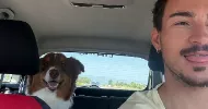 avatar petsitter