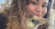 avatar petsitter
