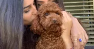 avatar petsitter