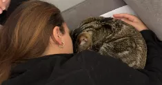 avatar petsitter