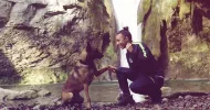 avatar petsitter