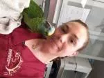 avatar petsitter