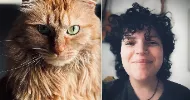 avatar petsitter