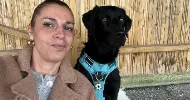 avatar petsitter