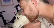 avatar petsitter