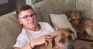 avatar petsitter