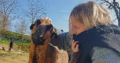 avatar petsitter
