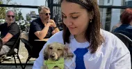 avatar petsitter
