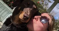 avatar petsitter