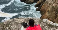 avatar petsitter