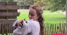 avatar petsitter