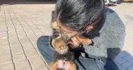avatar petsitter