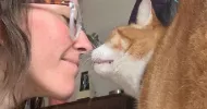 avatar petsitter