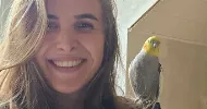 avatar petsitter