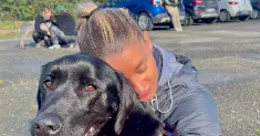avatar petsitter