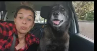 avatar petsitter
