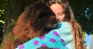 avatar petsitter