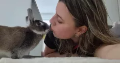 avatar petsitter