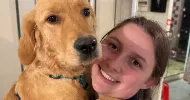 avatar petsitter