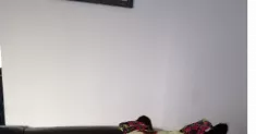avatar petsitter