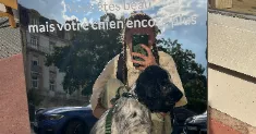 avatar petsitter