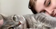 avatar petsitter