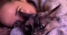 avatar petsitter
