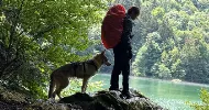 avatar petsitter
