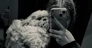avatar petsitter