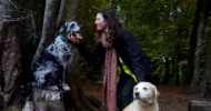 avatar petsitter