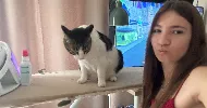 avatar petsitter