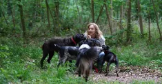 avatar petsitter