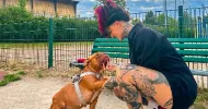 avatar petsitter