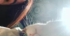avatar petsitter
