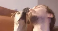 avatar petsitter