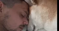 avatar petsitter
