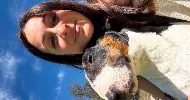 avatar petsitter