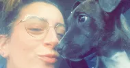 avatar petsitter