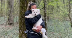 avatar petsitter