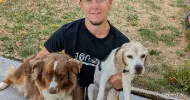 avatar petsitter