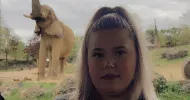 avatar petsitter