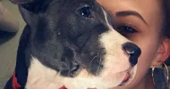 avatar petsitter