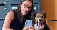 avatar petsitter