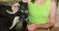 avatar petsitter