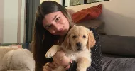 avatar petsitter