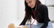 avatar petsitter